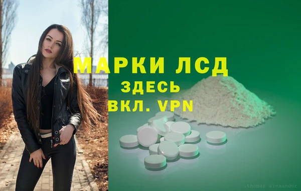 стаф Нефтекумск