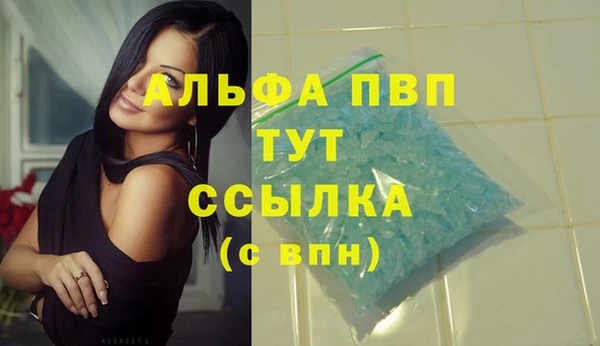 стаф Нефтекумск