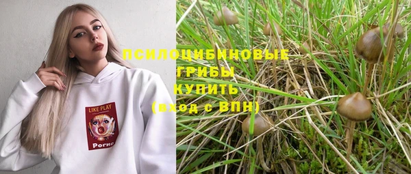 МДПВ Нея