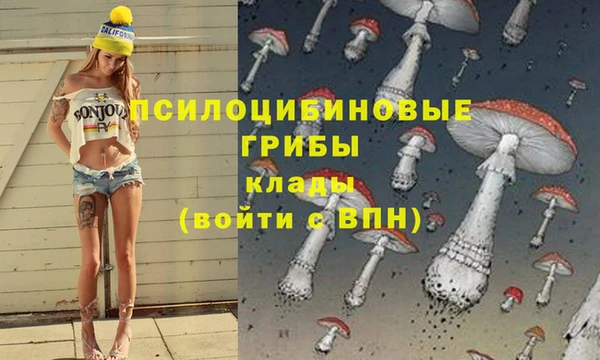 МДПВ Нея
