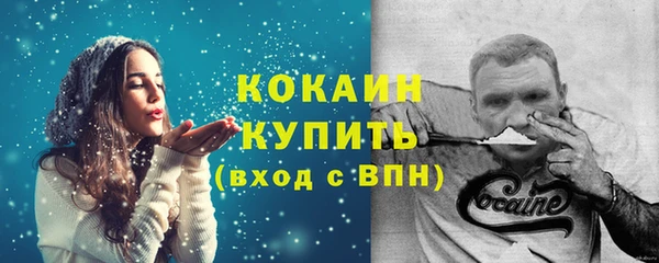 МДПВ Нея