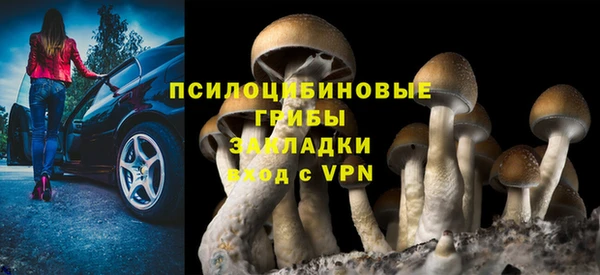 стаф Нефтекумск
