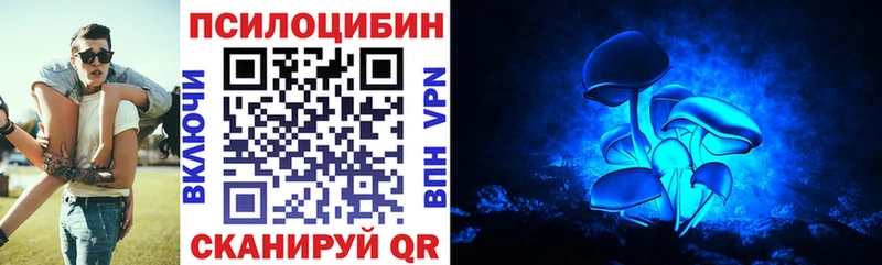 цены mega ссылка Псилоцибиновые грибы мухоморы Томск